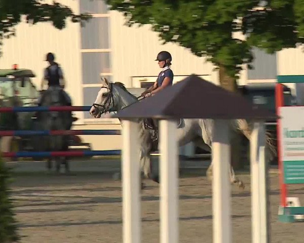 Reitturnier Rot am See – Musdorf 2021