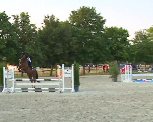 Reitturnier Rot am See – Musdorf 2021