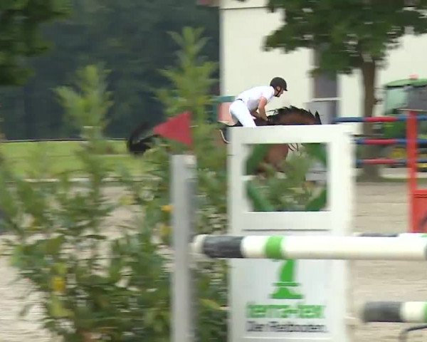 Reitturnier Rot am See – Musdorf 2021
