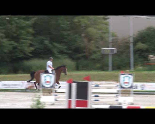 Reitturnier Grafenrheinfeld/Ufr. 2021