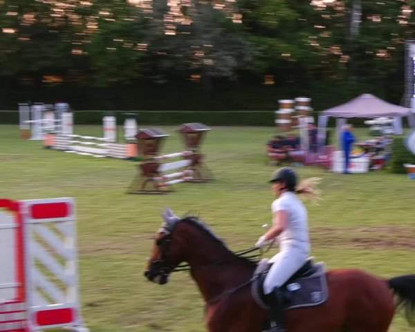 Reitturnier Westeregeln 2021
