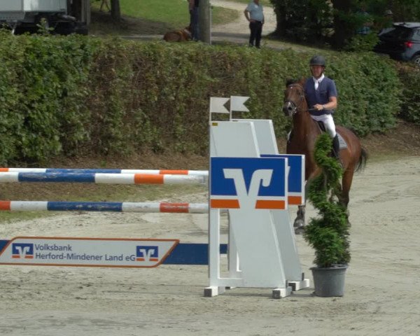 Reitturnier Vlotho-Exter 2021
