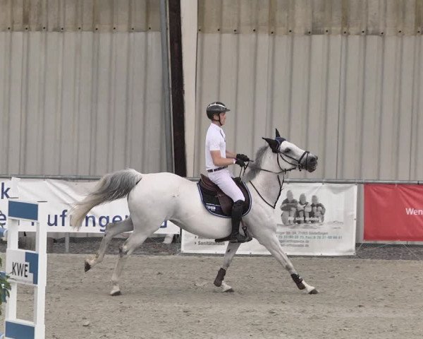 Reitturnier Ehningen 2021