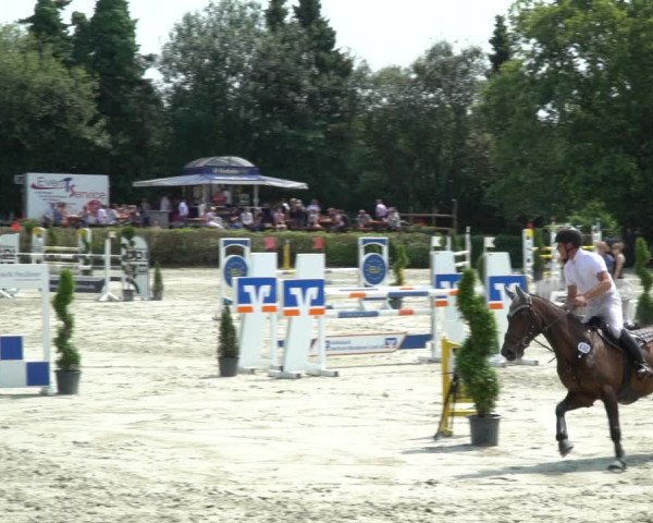 Reitturnier Vlotho-Exter 2021