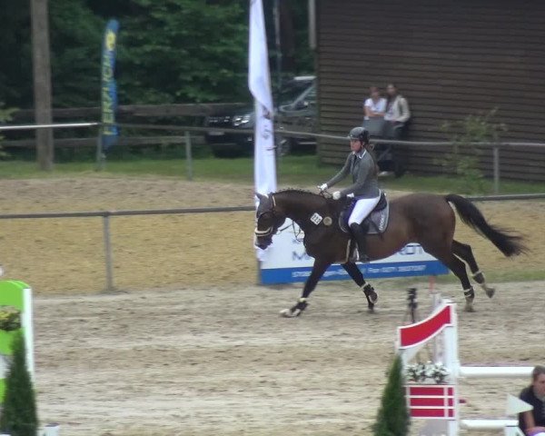 Reitturnier Neunkirchen-Salchendorf 2021