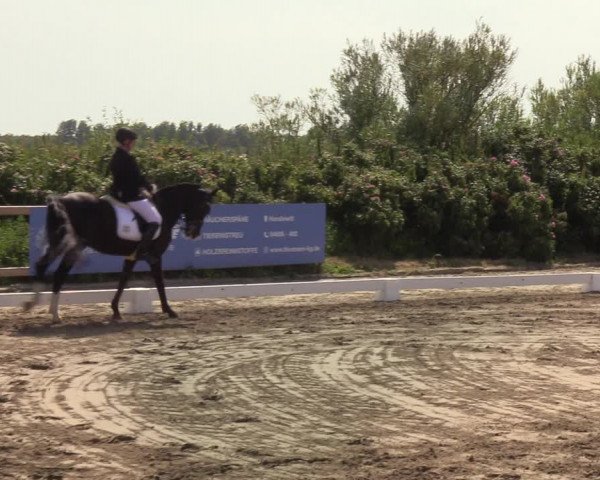 Reitturnier St. Peter Ording 2021