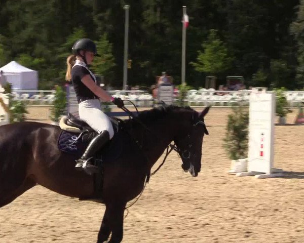 Reitturnier Ladelund 2021