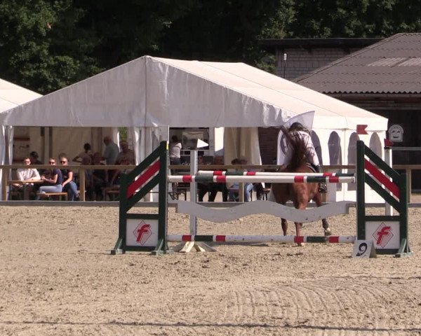 Reitturnier Kropp 2021