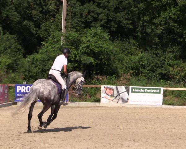 Reitturnier Kropp 2021