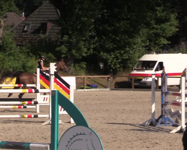 Reitturnier Kropp 2021