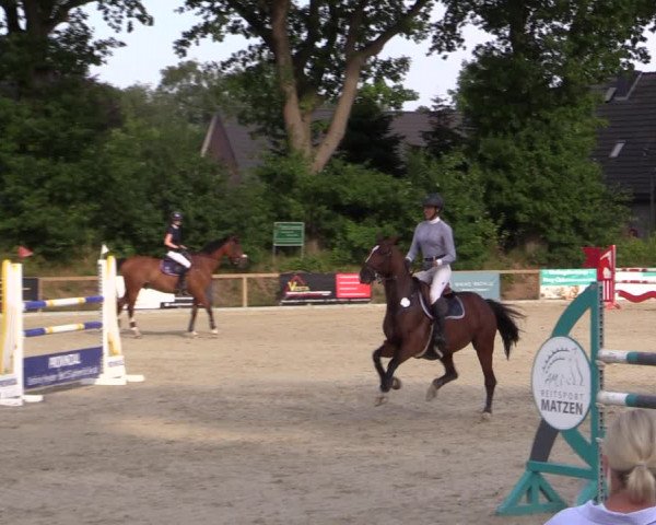 Reitturnier Kropp 2021