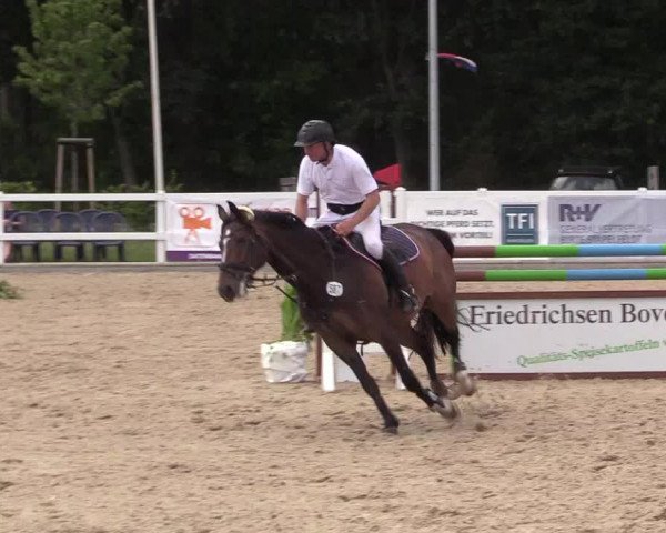 Reitturnier Ladelund 2021
