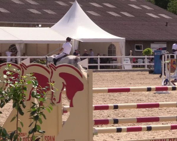 Reitturnier Ladelund 2021