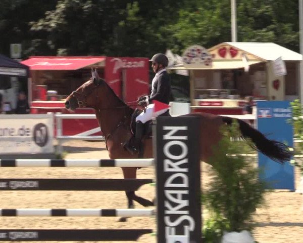 Reitturnier Ladelund 2021