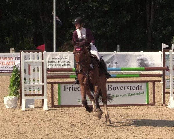 Reitturnier Ladelund 2021