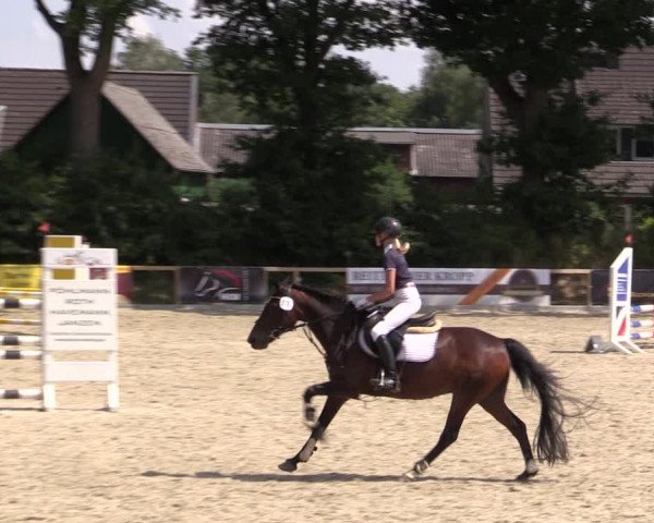 Reitturnier Kropp 2021