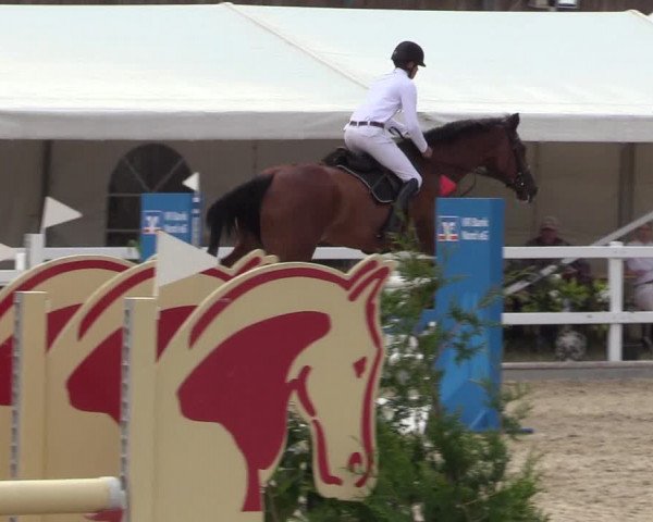 Reitturnier Ladelund 2021