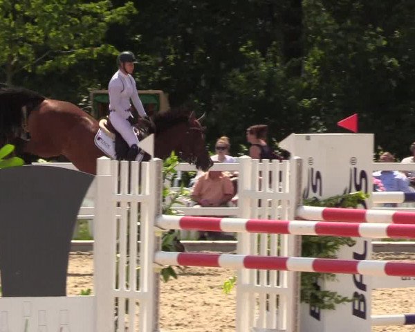 Reitturnier Ladelund 2021