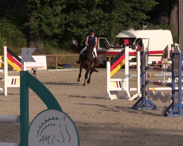 Reitturnier Kropp 2021