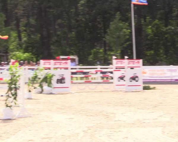 Reitturnier Ladelund 2021