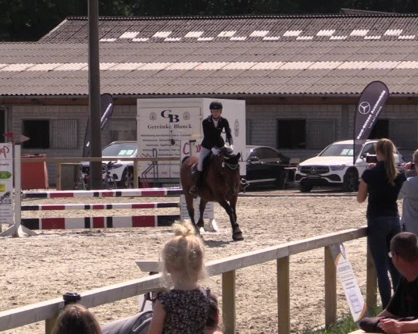 Reitturnier Kropp 2021