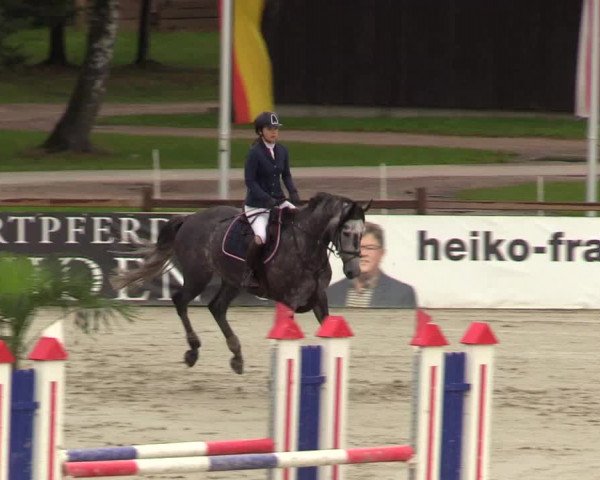 Reitturnier Westergellersen 2021