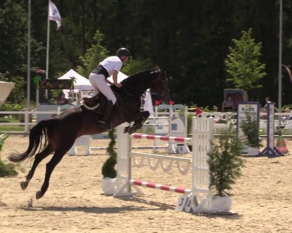 Reitturnier Ladelund 2021