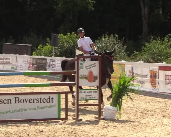Reitturnier Ladelund 2021