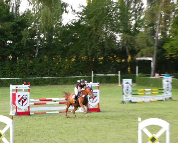 Reitturnier Westeregeln 2021