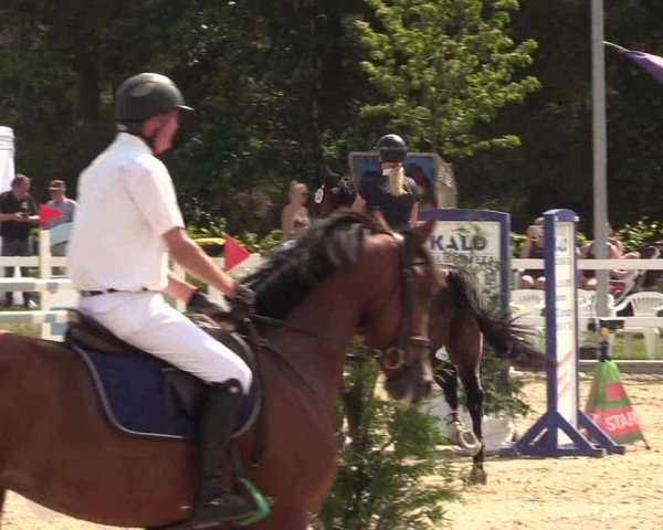 Reitturnier Ladelund 2021