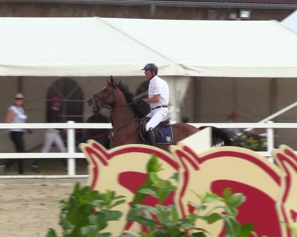 Reitturnier Ladelund 2021