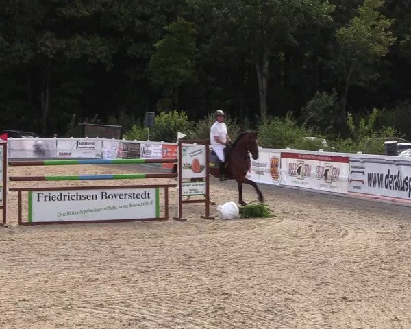 Reitturnier Ladelund 2021