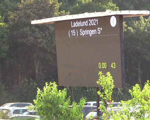 Reitturnier Ladelund 2021