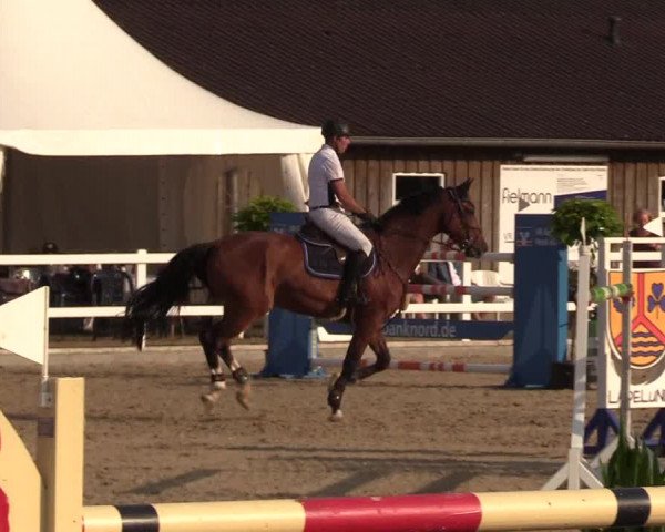 Reitturnier Ladelund 2021