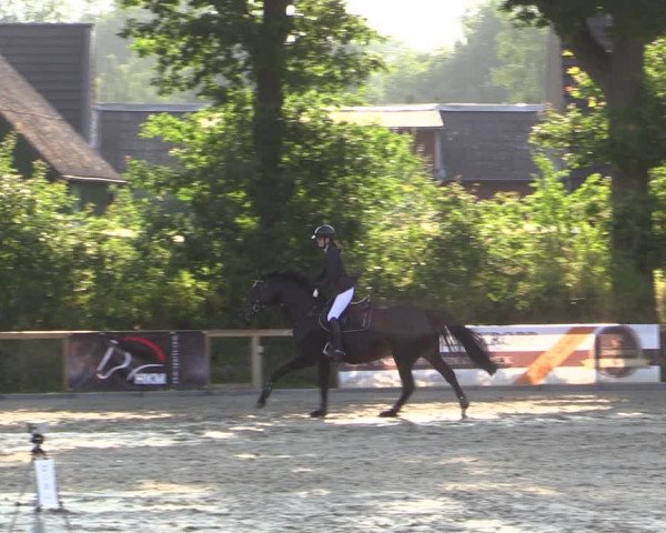 Reitturnier Kropp 2021