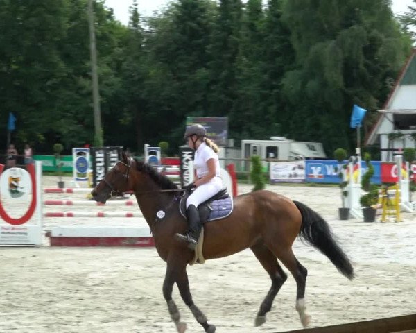 Reitturnier Vlotho-Exter 2021
