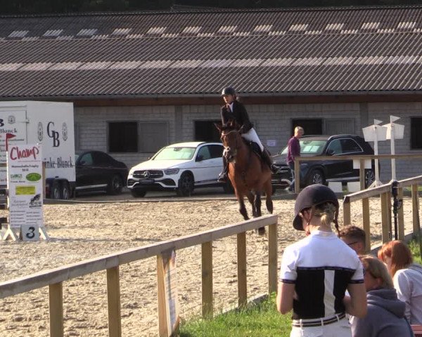 Reitturnier Kropp 2021