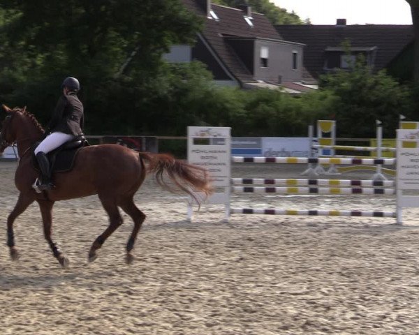 Reitturnier Kropp 2021