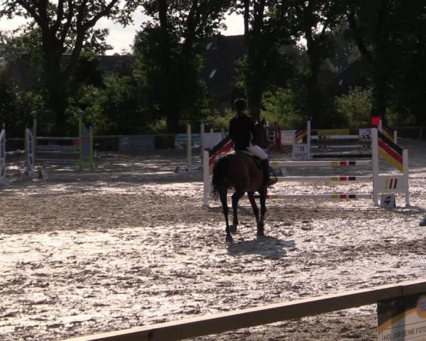 Reitturnier Kropp 2021