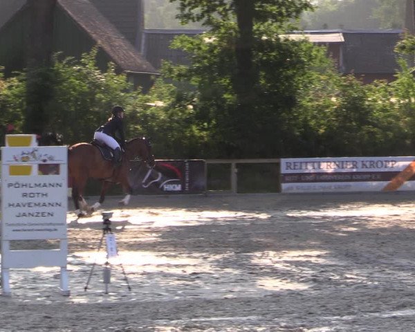 Reitturnier Kropp 2021