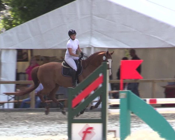 Reitturnier Kropp 2021