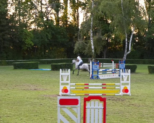 Reitturnier Westeregeln 2021