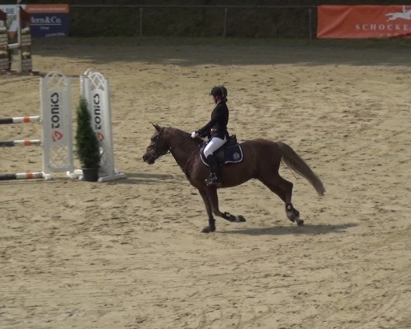 Reitturnier Neunkirchen-Salchendorf 2021