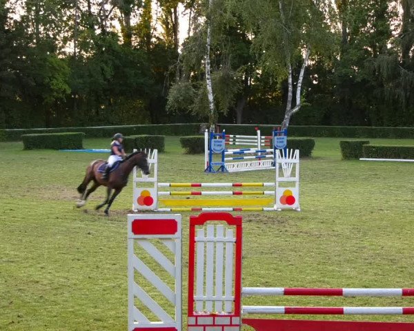 Reitturnier Westeregeln 2021