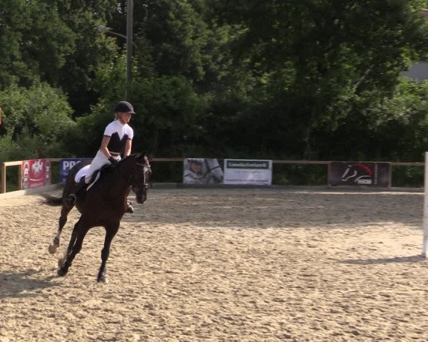 Reitturnier Kropp 2021