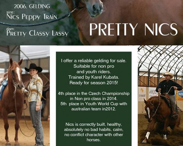 horse Pretty Nics (Quarter Horse, 2006, from Nics Peppy Train)