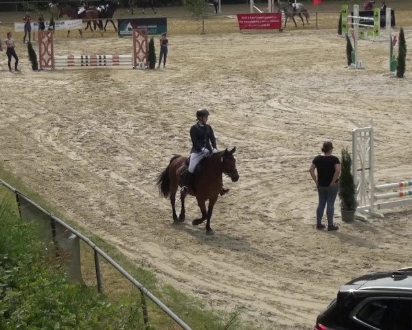 Reitturnier Neunkirchen-Salchendorf 2021