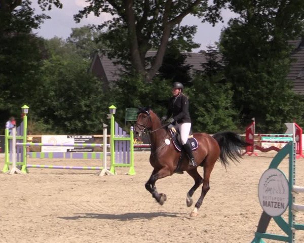 Reitturnier Kropp 2021