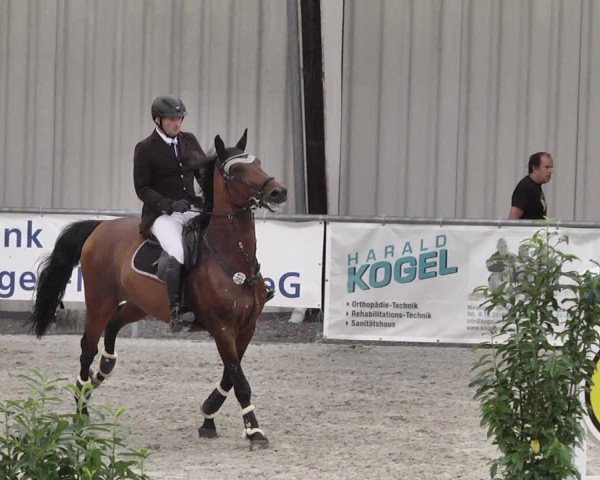 Reitturnier Ehningen 2021