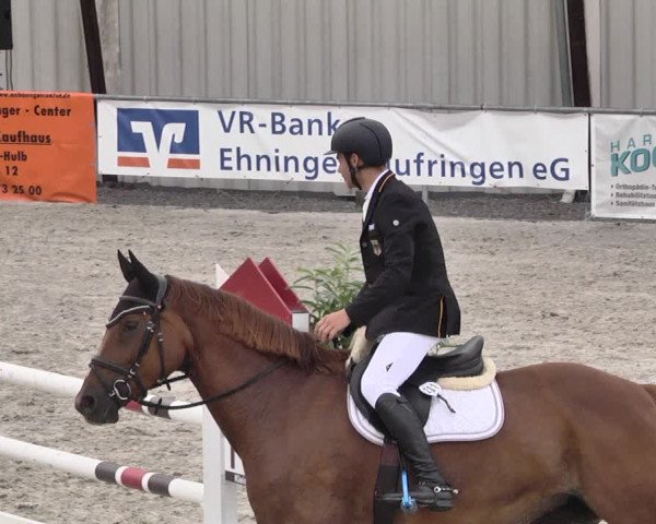 Reitturnier Ehningen 2021